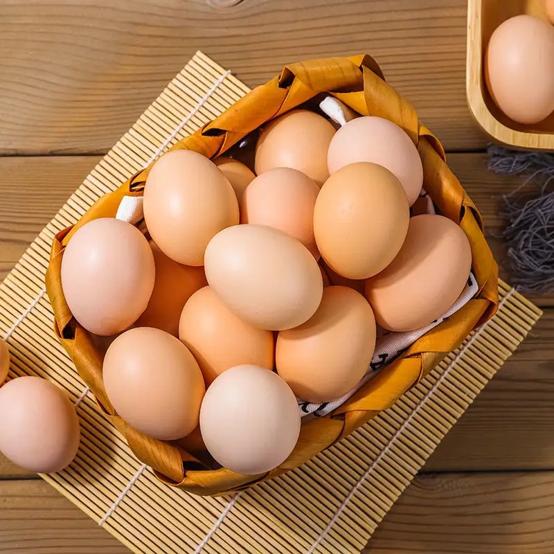 昆山鸡蛋营养成分检测 农药残留测试