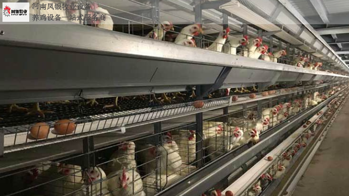 河南肉鸡笼自动化养鸡喂料 河南凤银牧业养殖设备供应