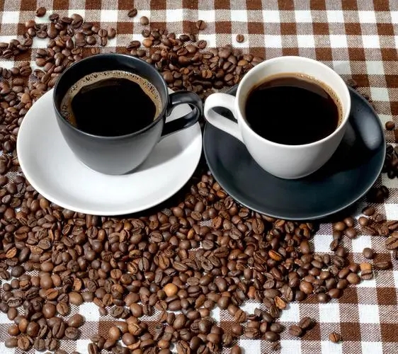 哥斯达黎加咖啡豆进口报关资料审核