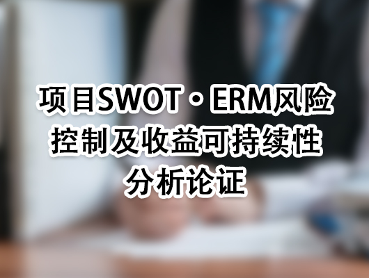 融资性驱动价值及产业动态发展趋势综合分析报告-安徽欣科云