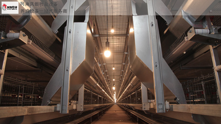 江西层叠式自动化养鸡设备厂家 河南凤银牧业养殖设备供应