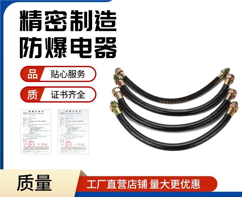 防爆挠性软管BNG-20穿线软管非标定制