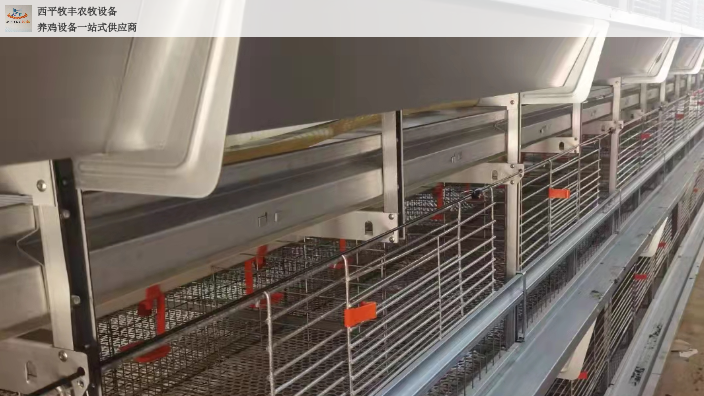 贵州改造自动化养鸡设备批发 西平牧丰农牧设备供应