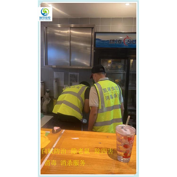 江门蓬江区餐馆除蟑螂 病媒生物防治 全天服务