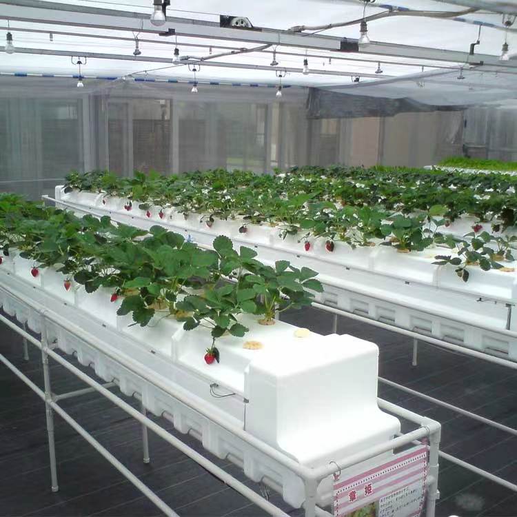 雾培水培种植系统 水培立体栽培系统