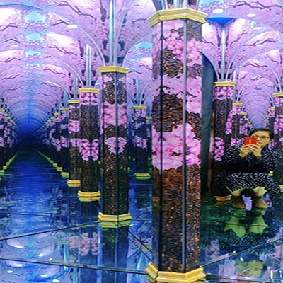 新款樱花镜子迷宫海世界魔幻境宫定制租售厂家基地