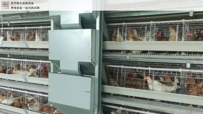 宁夏肉鸡笼自动化养鸡图片 西平牧丰农牧设备供应