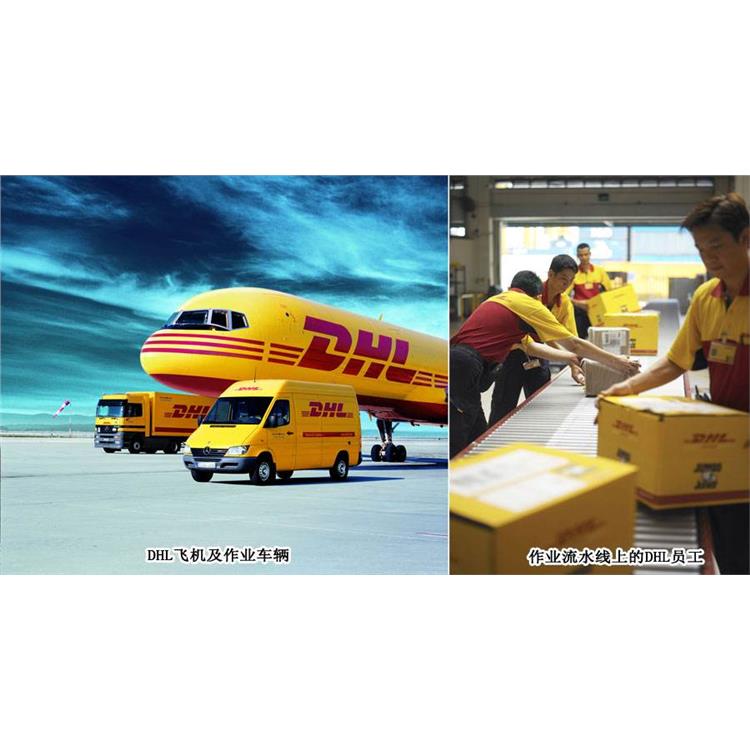 邵阳DHL国际快递公司 邵阳DHL国际快递服务中心 免费包装