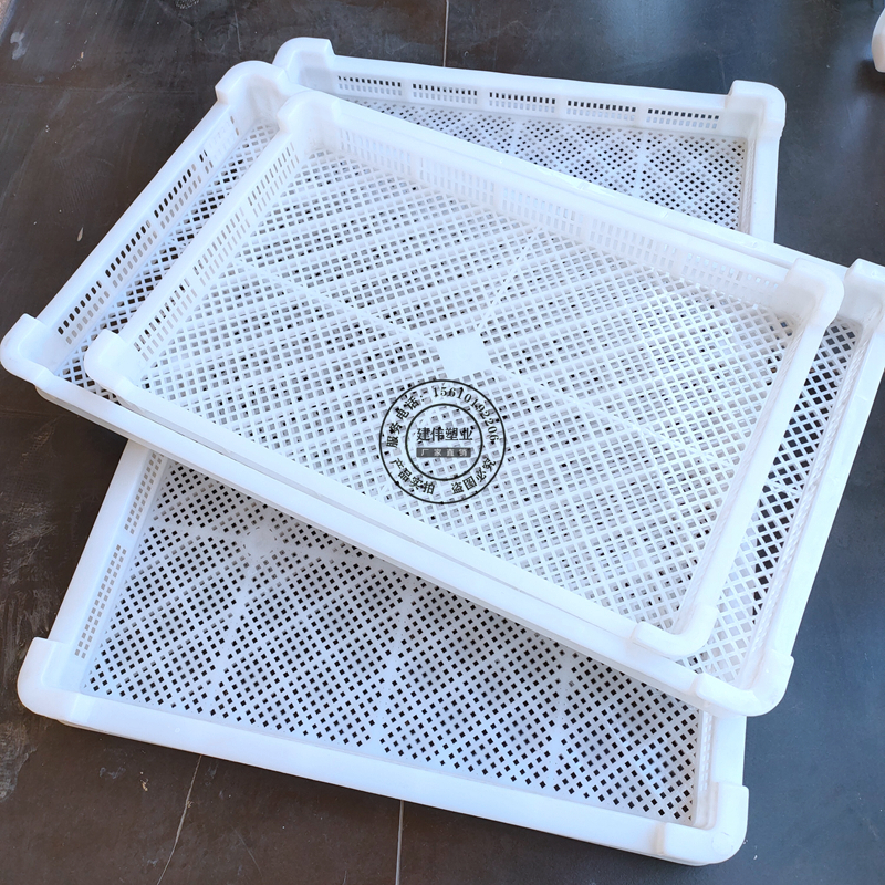 建伟塑业供应-白色单冻器-网格冷冻晾晒盘-塑胶烘干盘