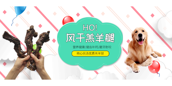 中国香港手工宠物零食值得推荐 南昌秋田宠物供应