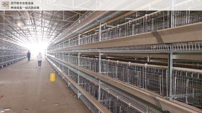 贵州改造自动化养鸡设备批发 西平牧丰农牧设备供应