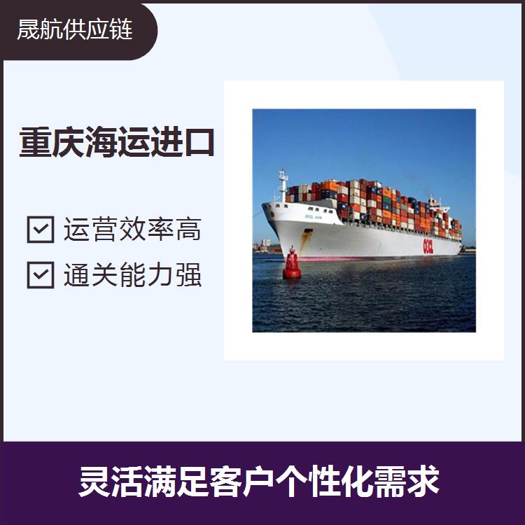 深圳海运进口突尼斯 运营效率高 放心托付 减轻负担