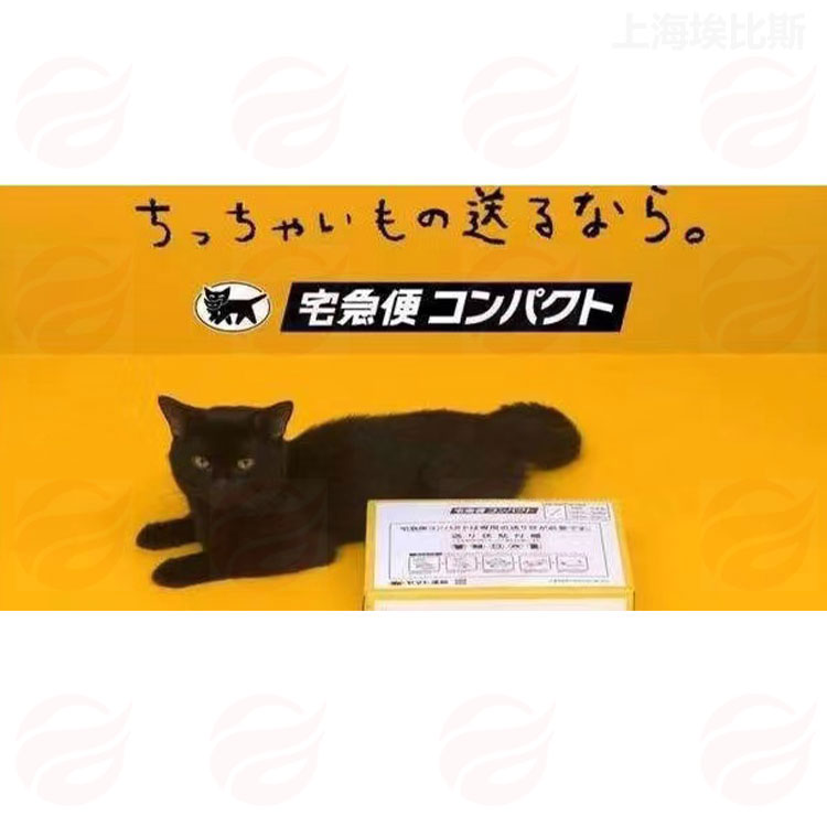 浦东日本跨境电商小包 上海黑猫快运