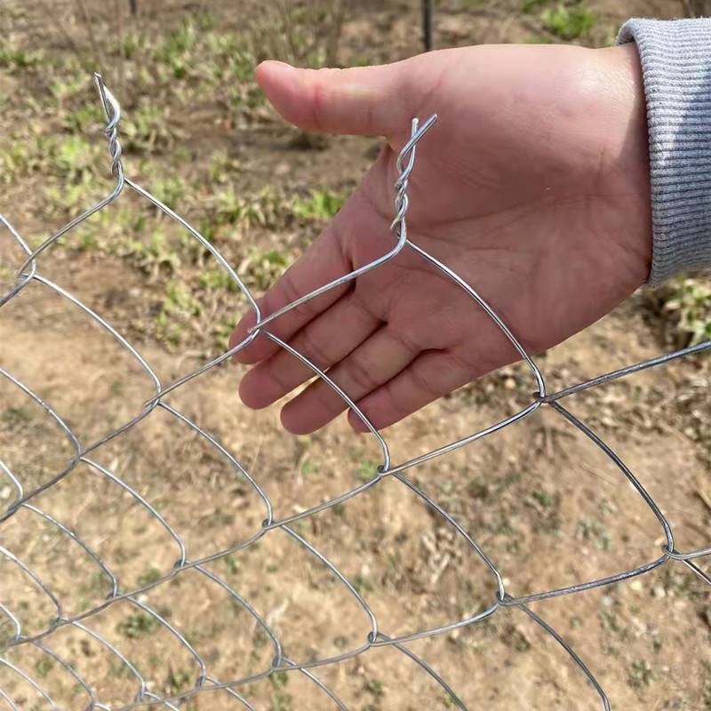 果园养殖防护隔离网防锈 农村拦鸡铁丝网 圈地围墙栅栏8公分孔