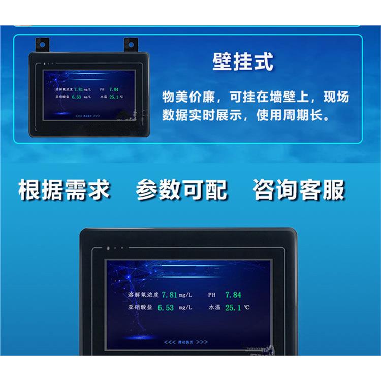 深圳手持水质测定仪供应商 耐腐蚀性优良 测量成本低 速度快