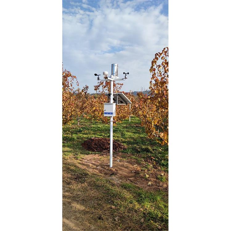 大棚土壤监测设备规格 功能强大 具有断电数据自动存储保护功能