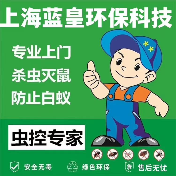 上海蓝皇环保 白蚁服务 专业除虫灭鼠 为您解决虫鼠患