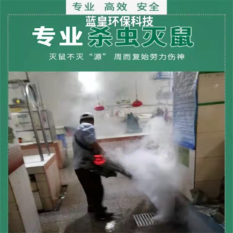 上海除四害-上海杀虫公司-上门服务除白蚁