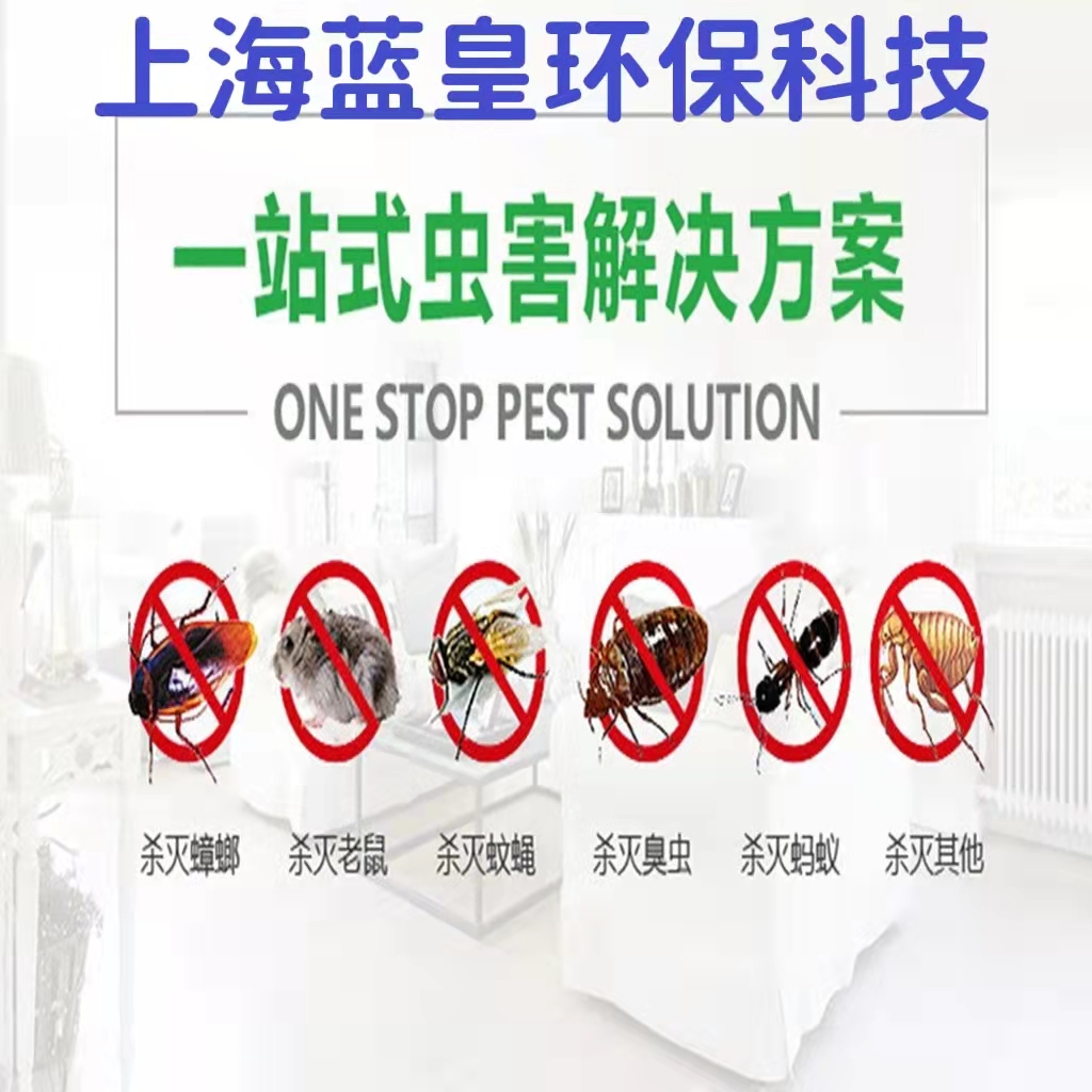 上海灭老鼠公司除蟑螂公司杀蟑螂公司杀老鼠公司消杀除虫