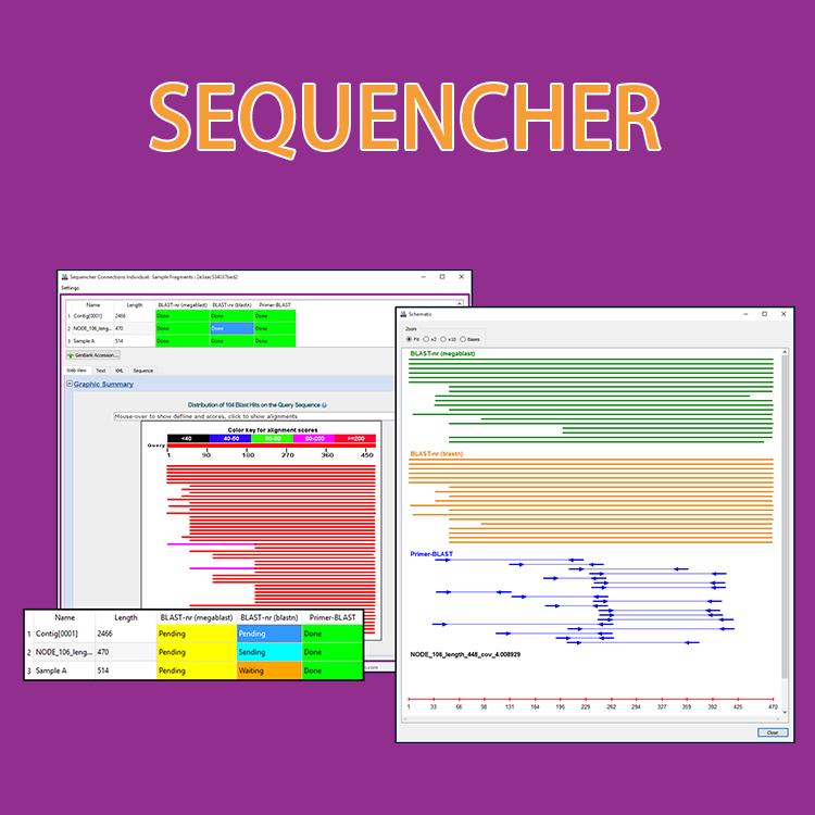 sequencher正版软件入门教程 保证正版