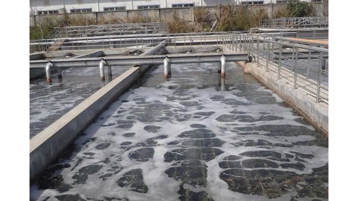 惠州高盐废水生化厂家指导 碳之源生物材料供应