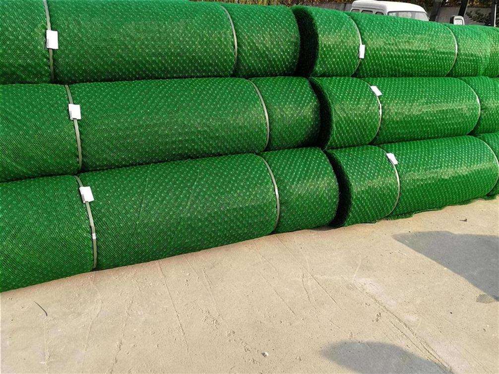 三维植被网PE材质常用于边坡防护植草