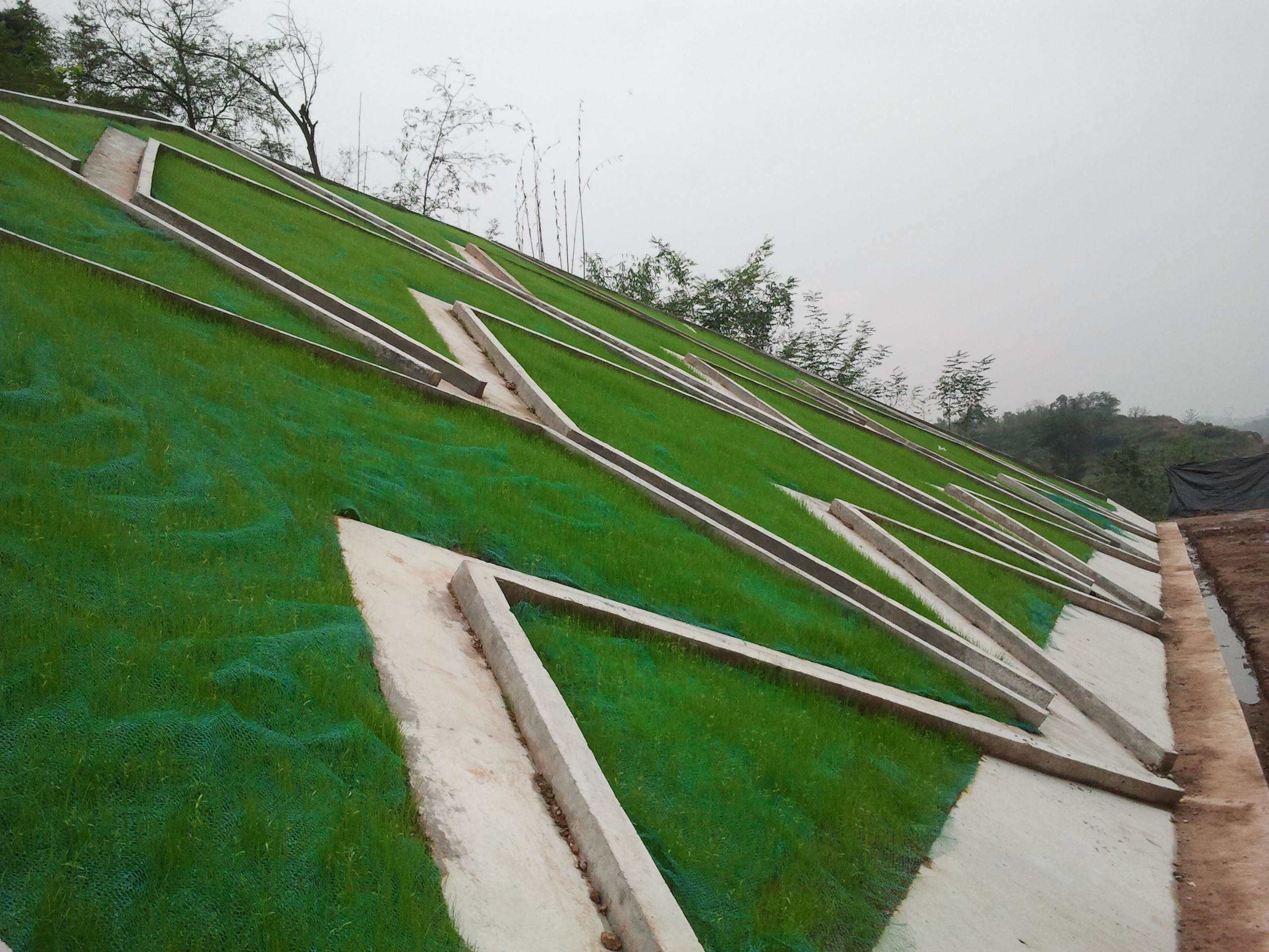 三维植被网PE材质常用于边坡防护植草复绿工程等项