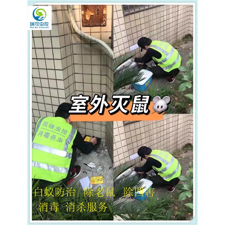 江门江海餐馆灭鼠公司电话 病媒生物防治 快速上门服务