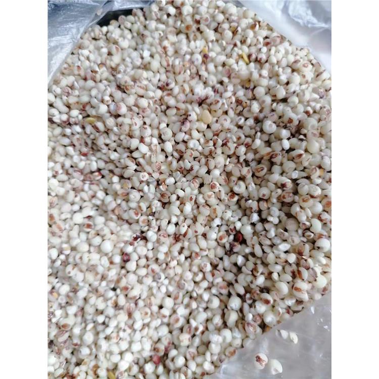 铜仁玉米杂粮脱皮机 苞米碴子机 性能可靠