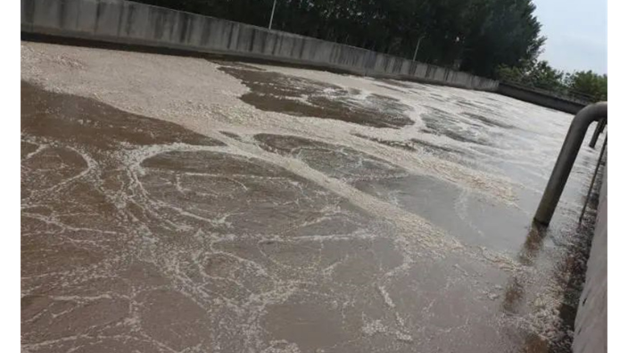 惠州印染废水总氮去除指导厂家 碳之源生物材料供应