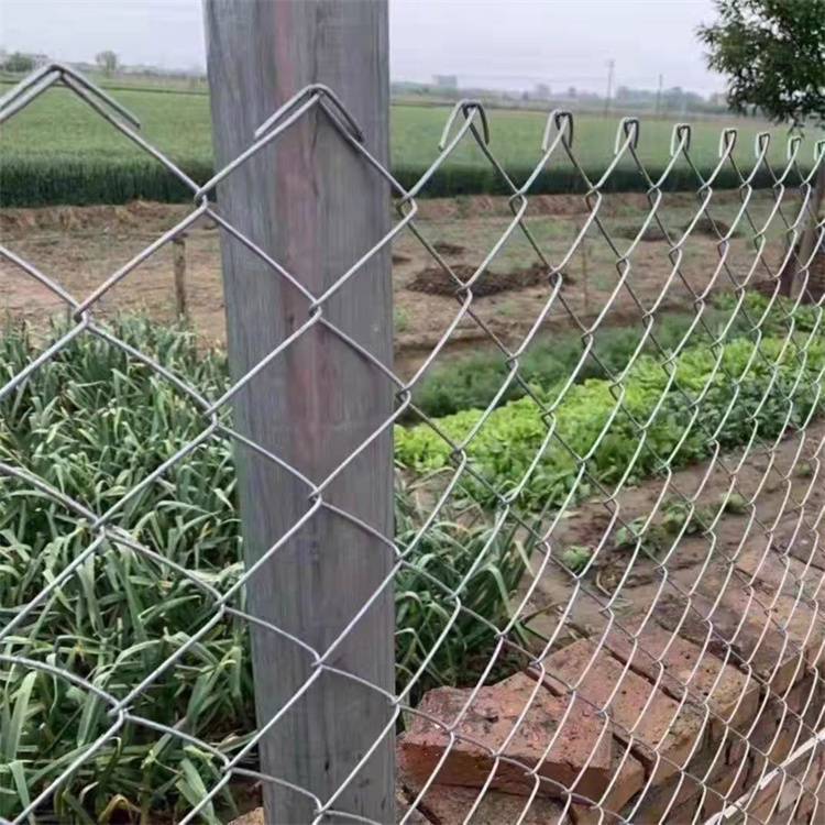 农场镀锌勾花网 养鸡围栏铁丝网 田地圈山养羊护栏网