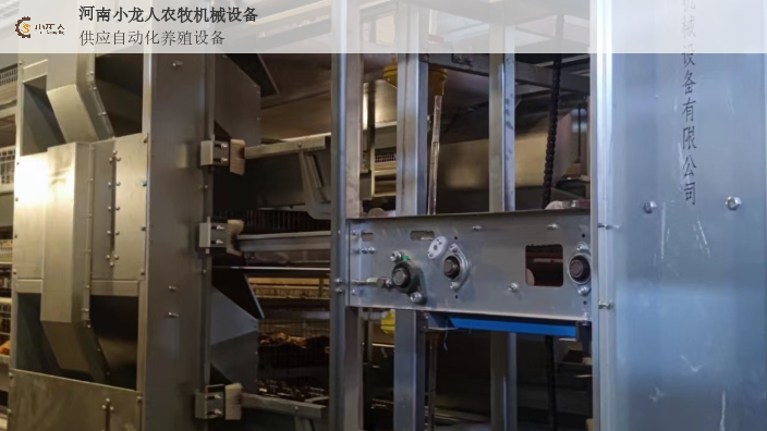 鹤壁新式层叠式育雏笼生产厂家 河南小龙人农牧机械设备供应