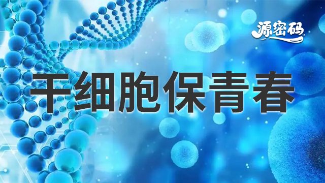 青海包含什么干细胞保青春 客户至上 郑州源密码生物科技供应