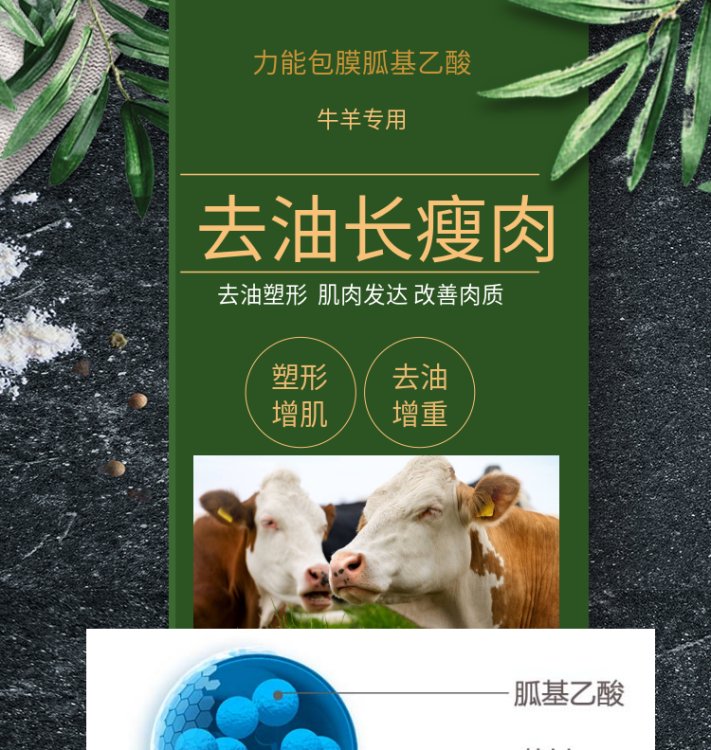 包膜胍基乙酸是一款针对牛羊等反刍动物的产品