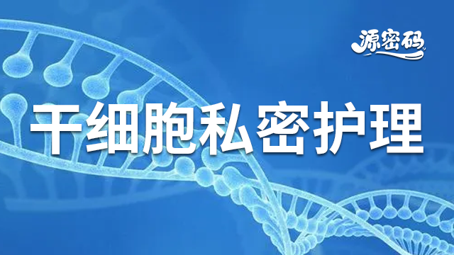 云南干细胞私密护理产业发展 贴心服务 郑州源密码生物科技供应