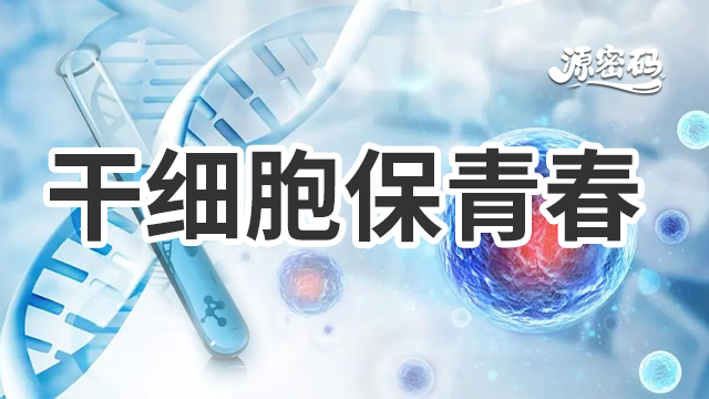 上海干细胞保青春市场 来电咨询 郑州源密码生物科技供应