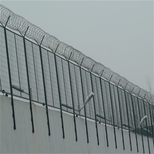 河北刺丝滚笼厂家供应上海不锈钢片刺网重庆镀锌片刺网
