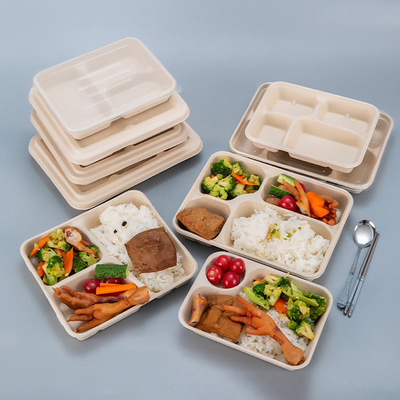 一次性可降解环保打包盒 长方形托盘快餐盒 食堂学生餐具