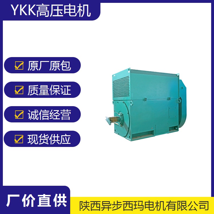 西安西玛Y系列高压电机Y4508-10 315KW 6KV-10KV