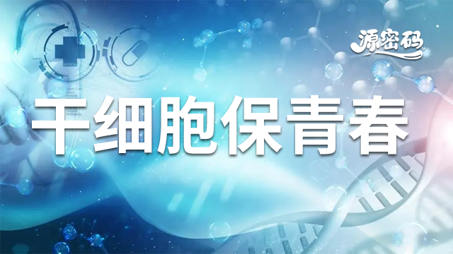 上海干细胞保青春产业发展 抱诚守真 郑州源密码生物科技供应