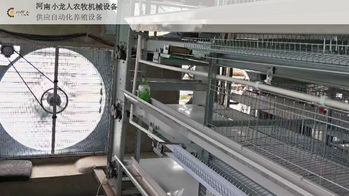 山东大型层叠式蛋鸡笼图片 河南小龙人农牧机械设备供应