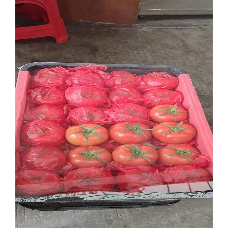 罗湖企业蔬菜配送公司 食材配送批发 广东食材承包配送