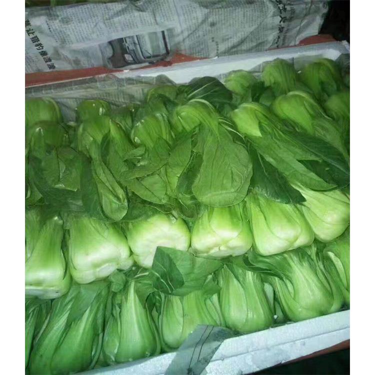 长安海鲜蔬菜配送 食材配送批发 广东食材承包配送