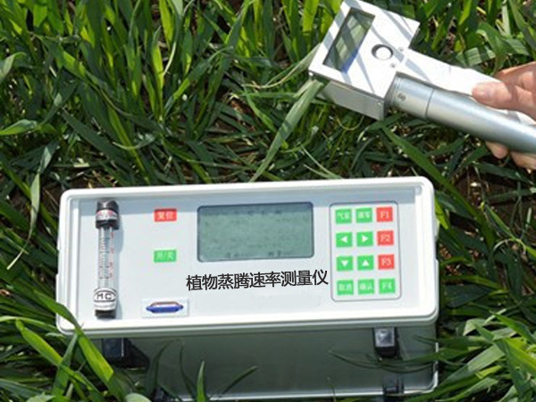 瑞华电子RHD-08A植物蒸腾速率测定仪