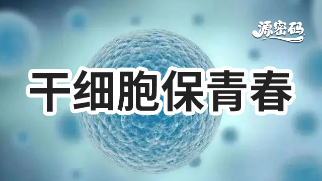 四川干细胞保青春服务费 来电咨询 郑州源密码生物科技供应