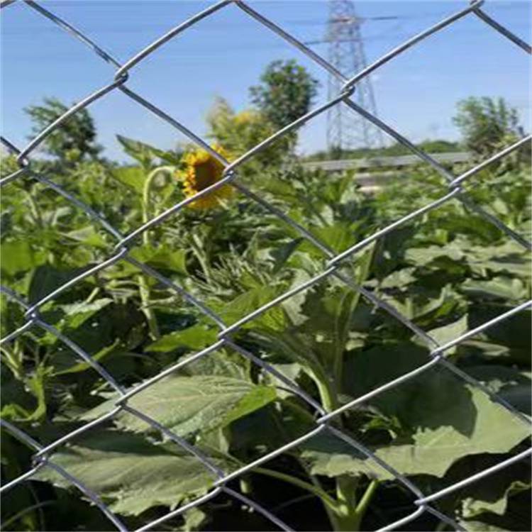 牧场勾花网围栏 公园小区防护网 拧边圈地镀锌钢丝网