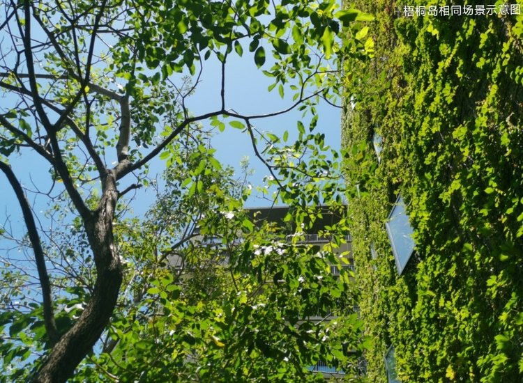 泰華梧桐聚落花園-首頁