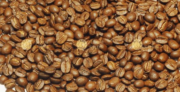 咖啡豆进口报关费用