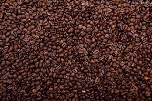 咖啡豆进口能安排海运得公司
