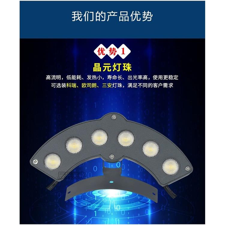忻州亮化安装 20年生产厂家指导安装 点光源